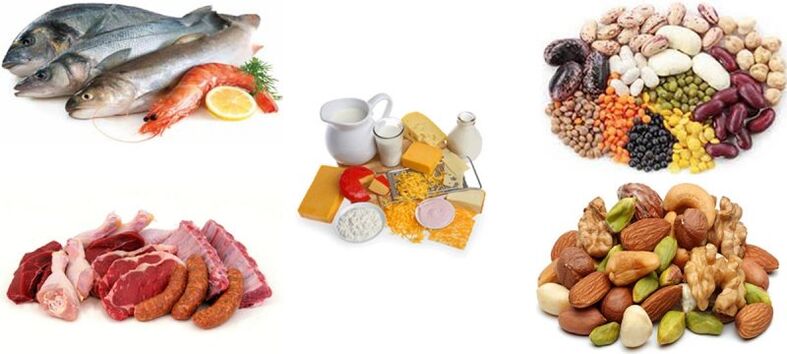 Proteinprodukte auf einer Proteindiät